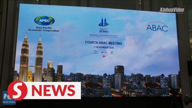 Apec advisory body chief hopes Apec leaders' meeting highlights multilateralism