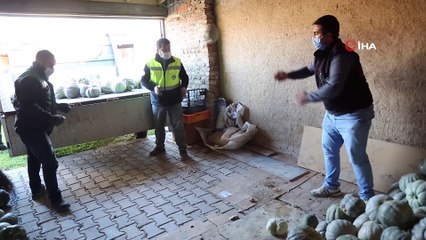 Ürettiği 3 ton bal kabağını ihtiyaç sahipleri için bağışladı