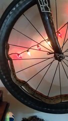 Snake Takes Bike Wheel for a Spin