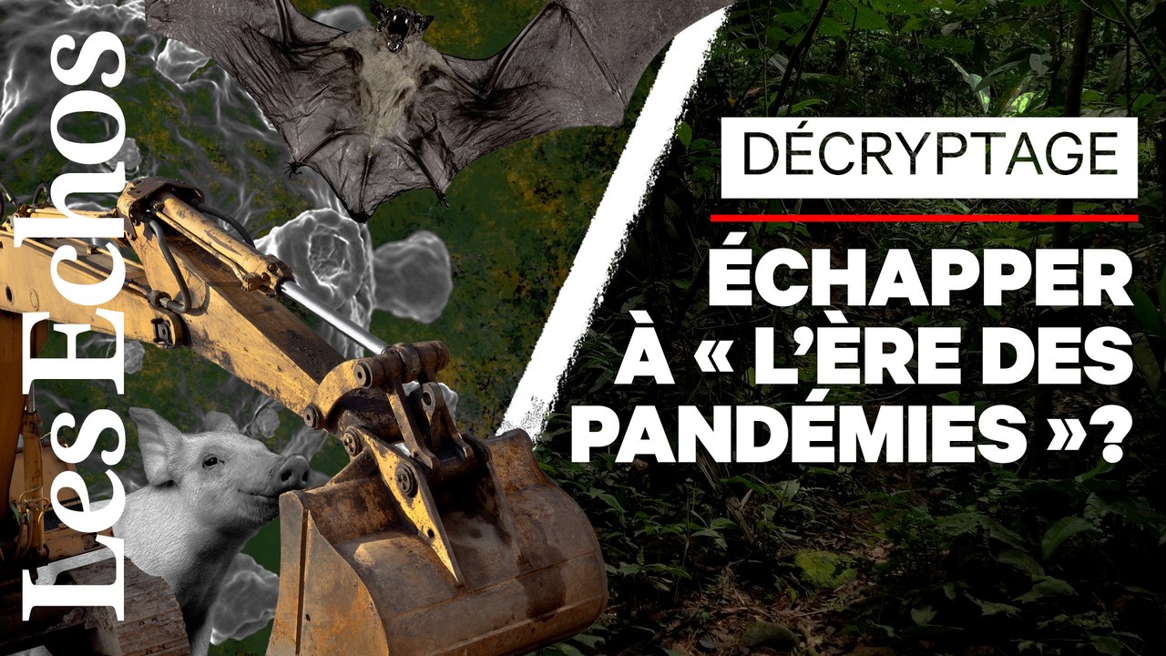 Comment l’Homme fabrique ses propres pandémies
