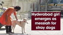 Hyderabad girl emerges as messiah for stray dogs