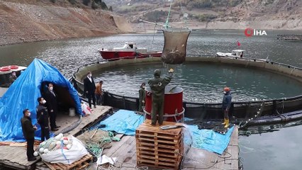 Denizi olmayan Gümüşhane’den somon ihraç ediliyor