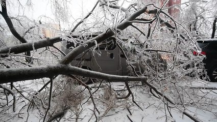 Ice damages trees and power lines in Russia