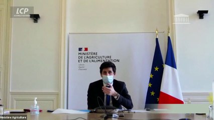 Sels nitrités : la position de Julien Denormandie, ministre de l'Agriculture et de l'Alimentation - 19/11/2020