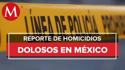 Video herunterladen: Homicidios dolosos aumentaron 1.1% en octubre: SSPC