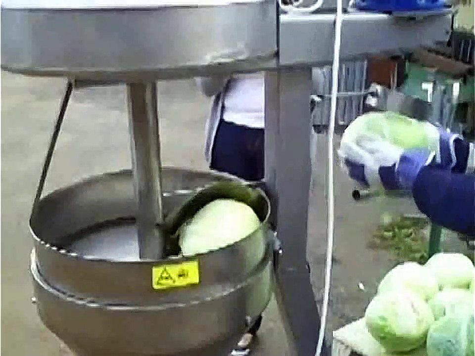 Cabbage cutting machine