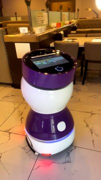 Robot Takes Guests to Table