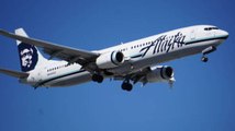 Alaska Airlines Plane Hits Brown Bear Upon Landing