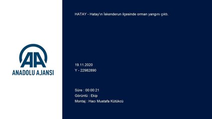 HATAY - İskenderun'da orman yangını