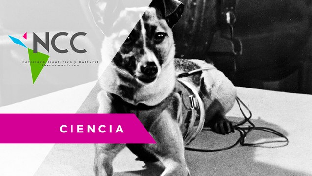 ¿Cuá­les fue­ron los pri­me­ros se­res vi­vos en lle­gar al es­pa­cio?