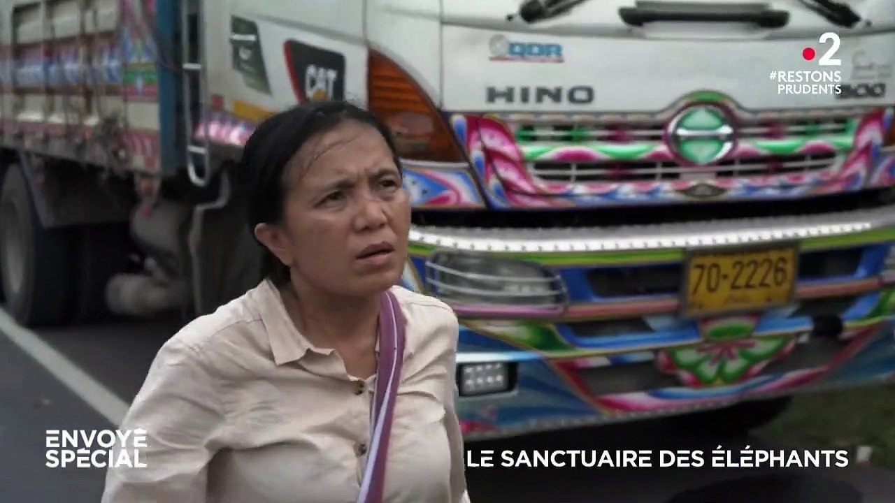 Le sanctuaire des éléphants