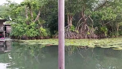 HERMOSO LUGAR DE GUATEMALA