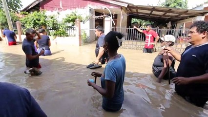 Balanço das perdas após o Iota