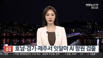 호남·경기·제주서 잇달아 AI 항원 검출