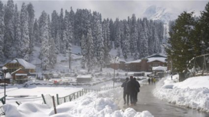 Snowfall in Himachal, white sheet of snow all over