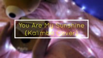 YOU ARE MY SUNSHINE KALIMBA Cover With Number Notation Tabs | 17 Keys Aklot Kalimba | Johnny Cash