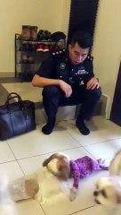 Perak police officer continues search for his missing dog