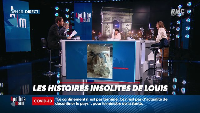 « Les 3 histoires de Louis Amar » : Un Indonésien devenu millionnaire grâce à une météorite, le palmarès des mots de passe et les chiens et leur chanson de Noël - 20/11