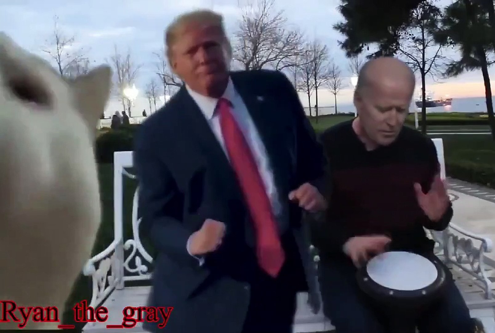 La chanson du chat avec Trump et Biden, le meme internet - Vidéo Dailymotion