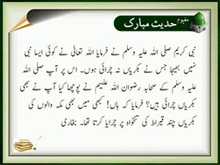 Anbia Ka Bakrian Charana | HD Islamic | Nabi (S.A.W) ka Farman | Hadees