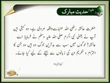 BadTareen Log | HD Islamic | Nabi (S.A.W) ka Farman | Hadees