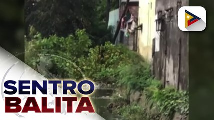 Mga naputol na sana ng punong bumara sa isang estero sa Valenzuela, hiniling na maalis na