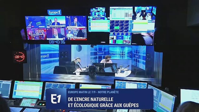 De l’encre naturelle et écologique grâce aux guêpes