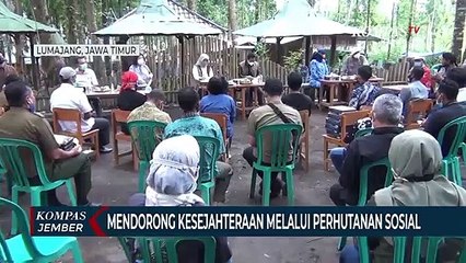 Mendorong Kesejahteraan Petani Melalui Perhutanan Sosial