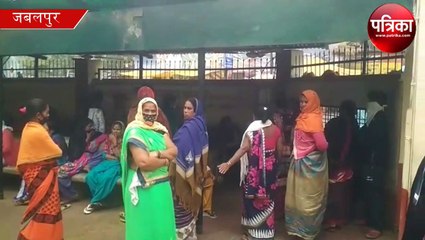 एलिग्न हास्पिटल में दो दिन की बच्ची पर बिल्ली का हमला