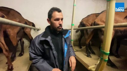 7h30 avec des chèvres