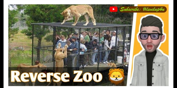 Zoo where you are in cage|Reverse innovative zoo|The new Zoo|Jungle Zoo|Zoo conservation programmes|#levelup4u
