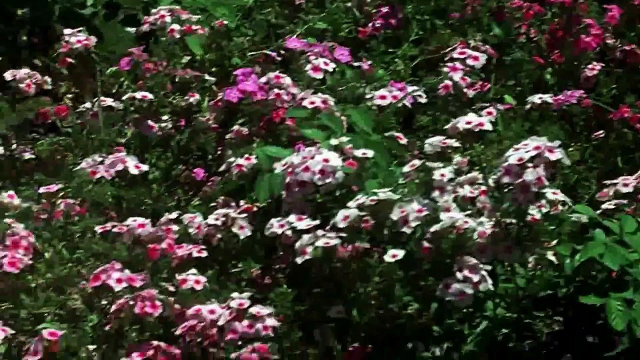 Chanda Hai Tu Mera Suraj Hai Tu