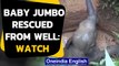 Baby Elephant rescued from a well in Tamil Nadu's Dharmapuri: Watch the video|Oneindia News