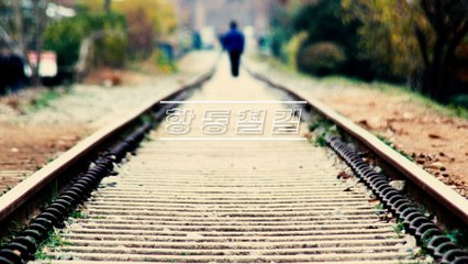 랜선여행 구로 항동철길(Korea Online Tour, Guro Hangdong Railway) / 디따