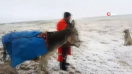 Koyunları otlatırken kar yağışına yakalandılar