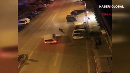 Yol ortasında sopalarla kavga ettiler