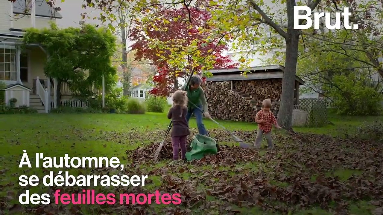 Faut-il ramasser les feuilles mortes en automne ?