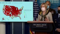 White House Coronavirus Task Force gives briefing on new wave of cases sweeping the nation