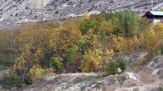 ERZURUM - 'Türkiye'nin en büyük şelalesi'nde sonbahar güzelliği