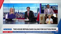 Two House Republicans call for Election Probe - Jim Jordan