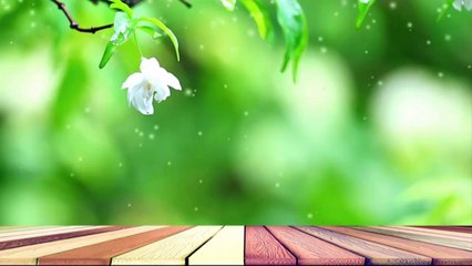 Flowers Amazing Nature Beautiful Blooming Flower Time Lapse Video