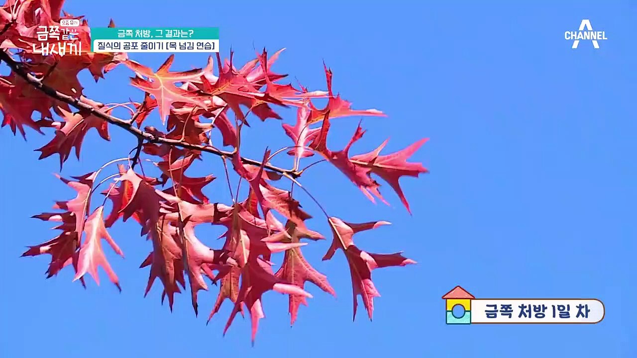 [오은영 금쪽 처방] 질식의 공포 줄이는 방법 "목 넘김 연습"