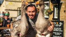 Man Who Bought Two Pet Geese During Lockdown Might Be Forced to Get Rid of Them Due to Their Constant Honking