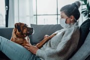 Los dueños de perros tienen un mayor riesgo de contraer COVID-19, según un estudio
