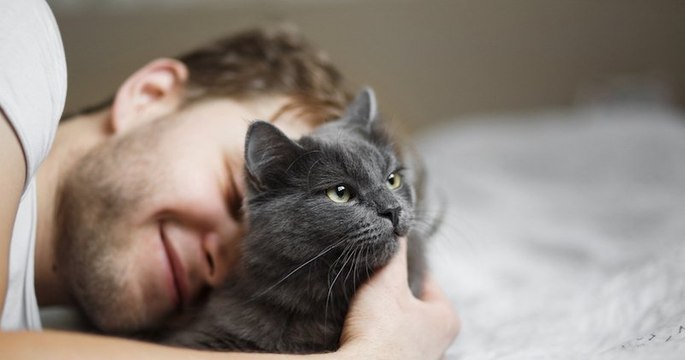 MeowTalk, l'application qui traduit les miaulements de votre chat