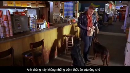 Review Phim  Chú Chó Fluke - Fluke (1995)