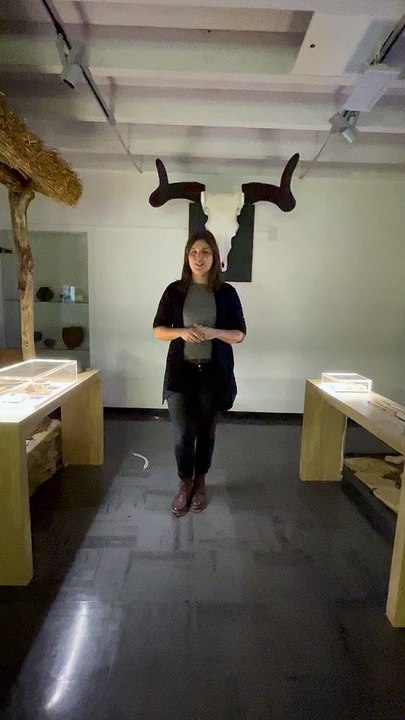 Raconte-moi une histoire : La micro-faune