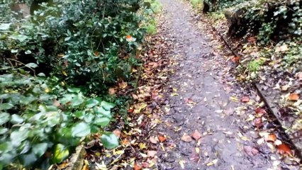 Csillagok háborúja archívum