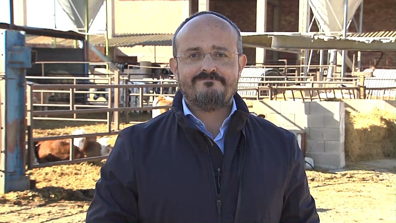PP catalán cree que 'Ley Celaá' pone educación especial "al servicio de ideología"