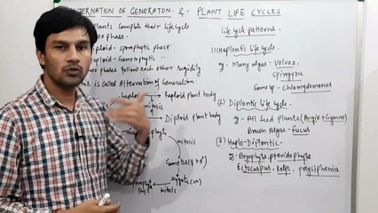 Alternation of Generations & Plant Life Cycles (Plant Kingdom)